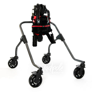 Leckey MyWay+ Stander