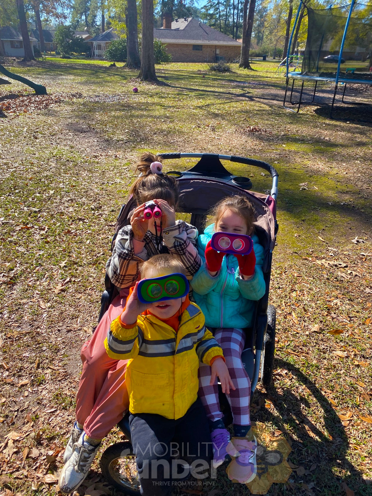 Adventurous Princess Seeks Worthy Chariot