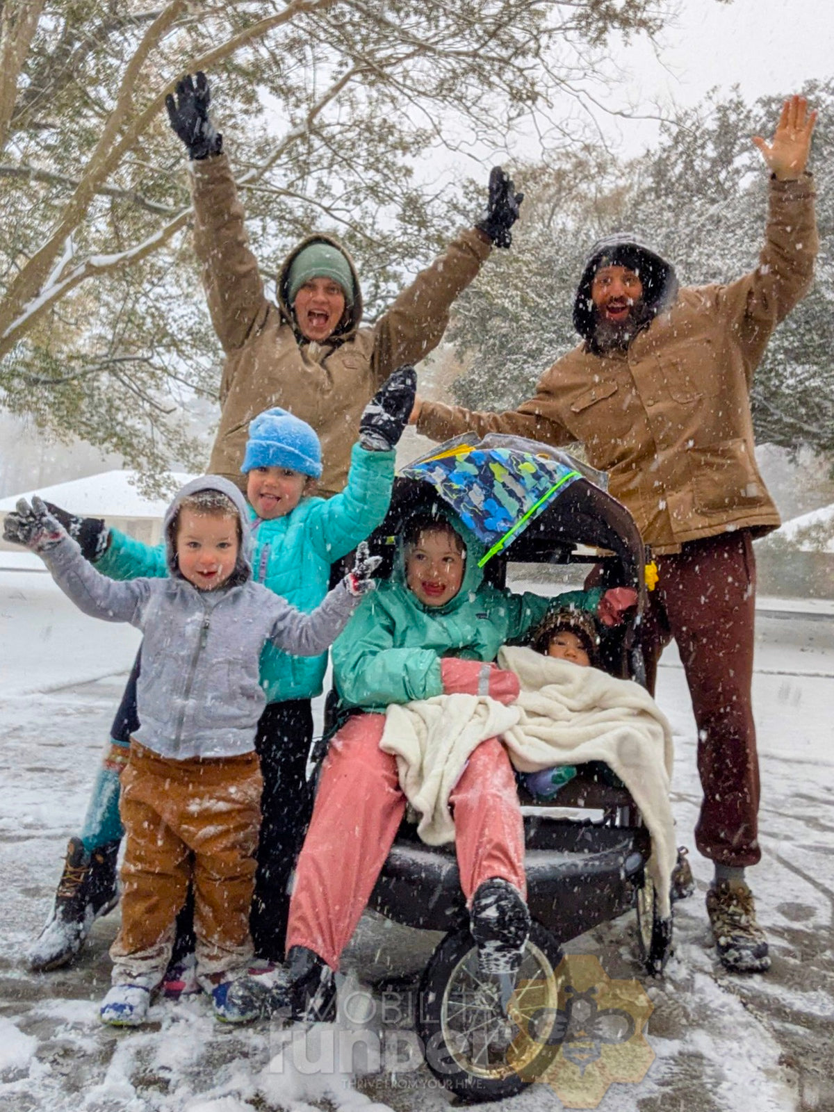 Adventurous Princess Seeks Worthy Chariot