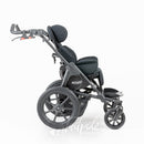 Hoggi Bingo Evolution (4 Sizes)