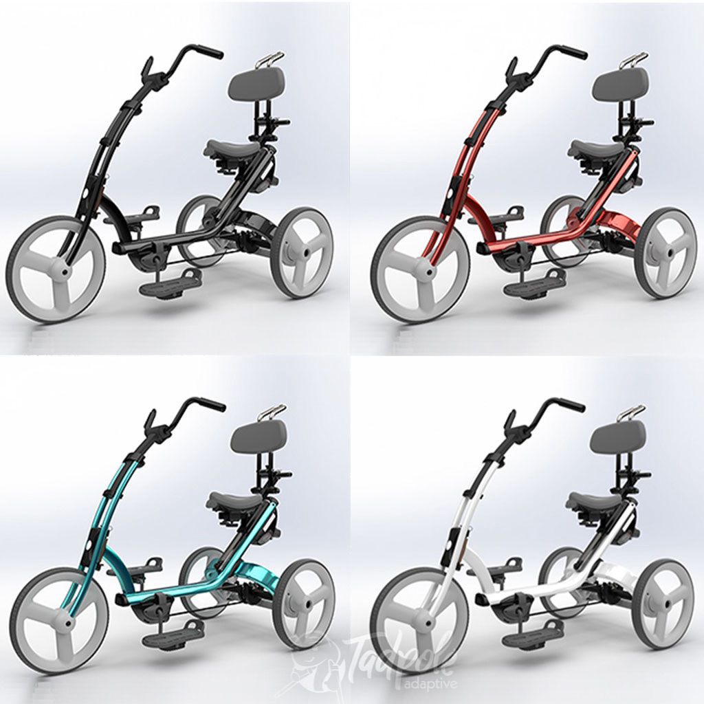 Rifton New Medium Adaptive Tricycle (X330)